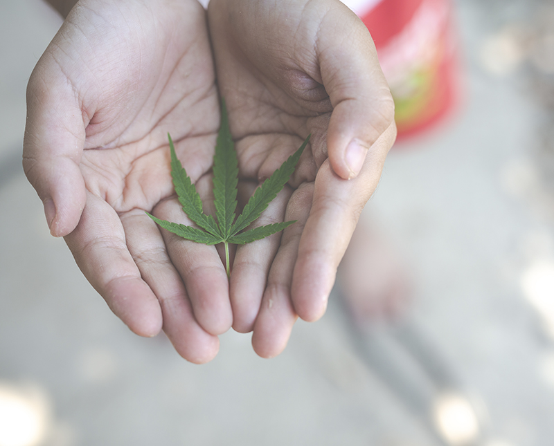 Consultoria jurídica online