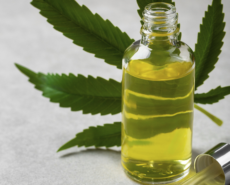 Reunião sobre direito e saúde